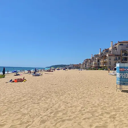 C - бийч с Daire *