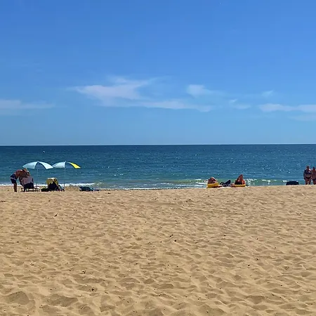 C - бийч с * Обзор