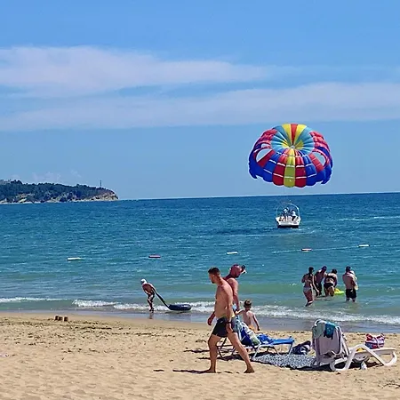 C - бийч с Daire