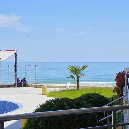 C - бийч с Daire